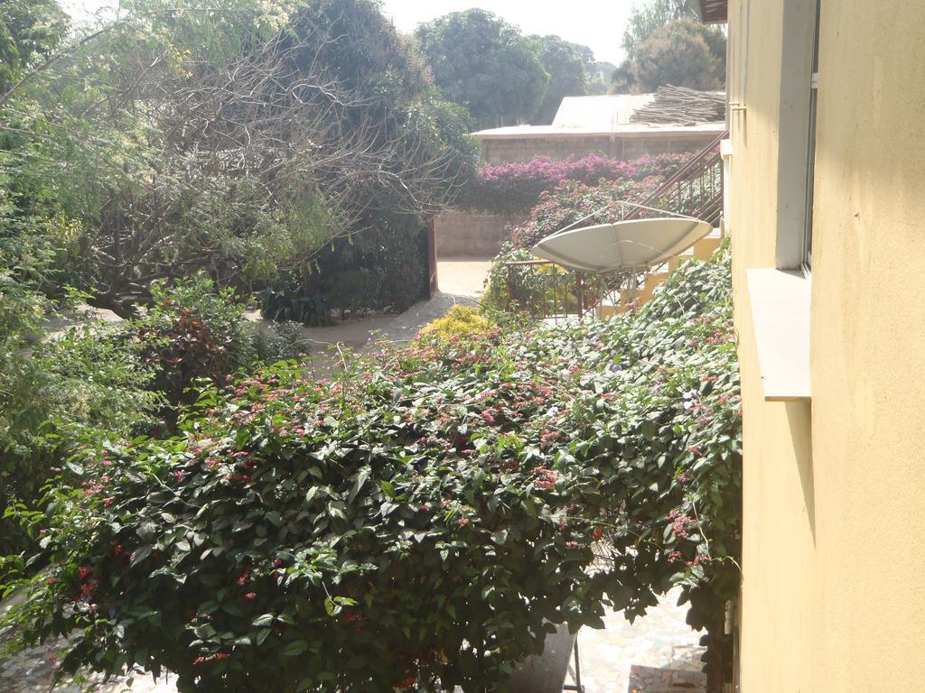 Sanchaba Yellow Apartments Kololi Exterior photo